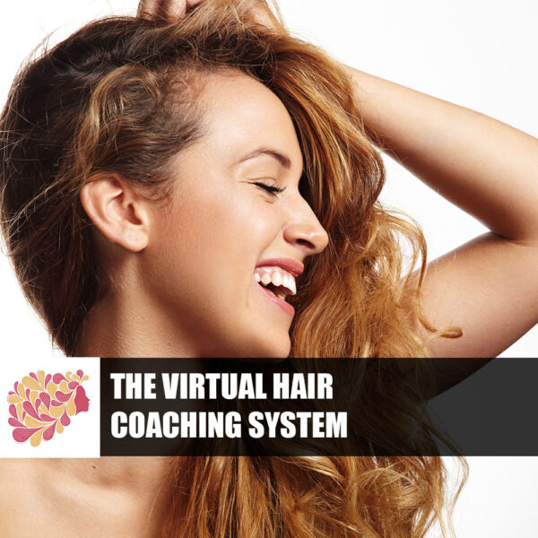The Virtual Hair Coaching System